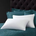 800 Fill Power European White Goose Down Batiste Pillow